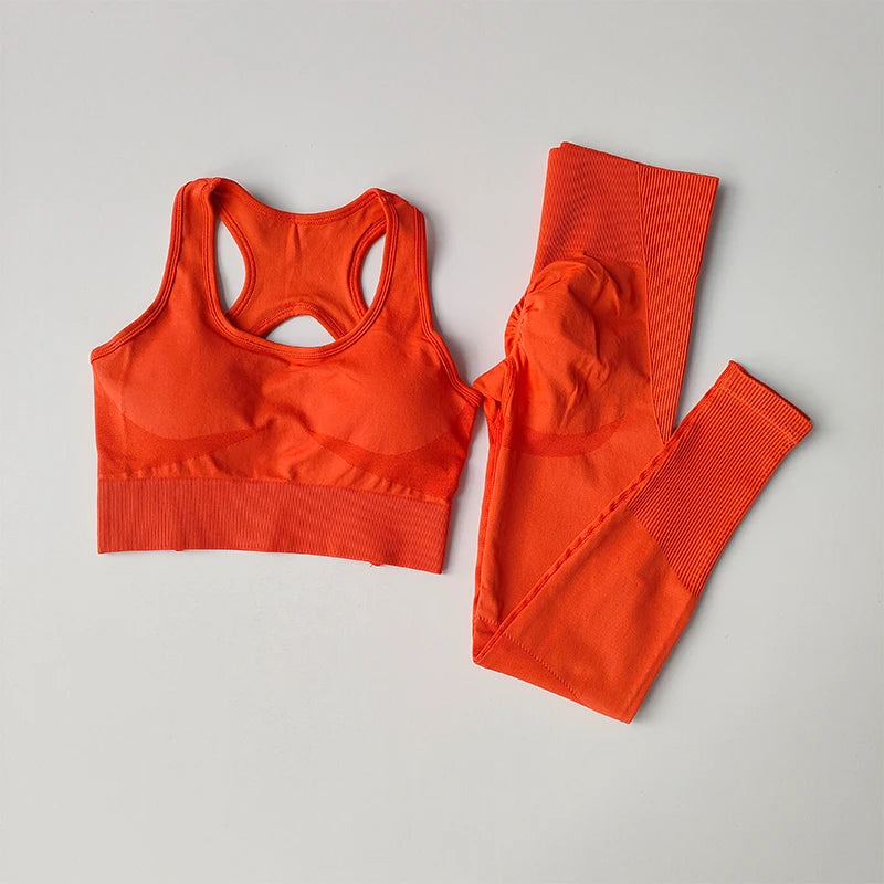 Conjunto Fitness Feminino 2PCS Top Shockproof Legging Ideal para Yoga Corrida e Academia