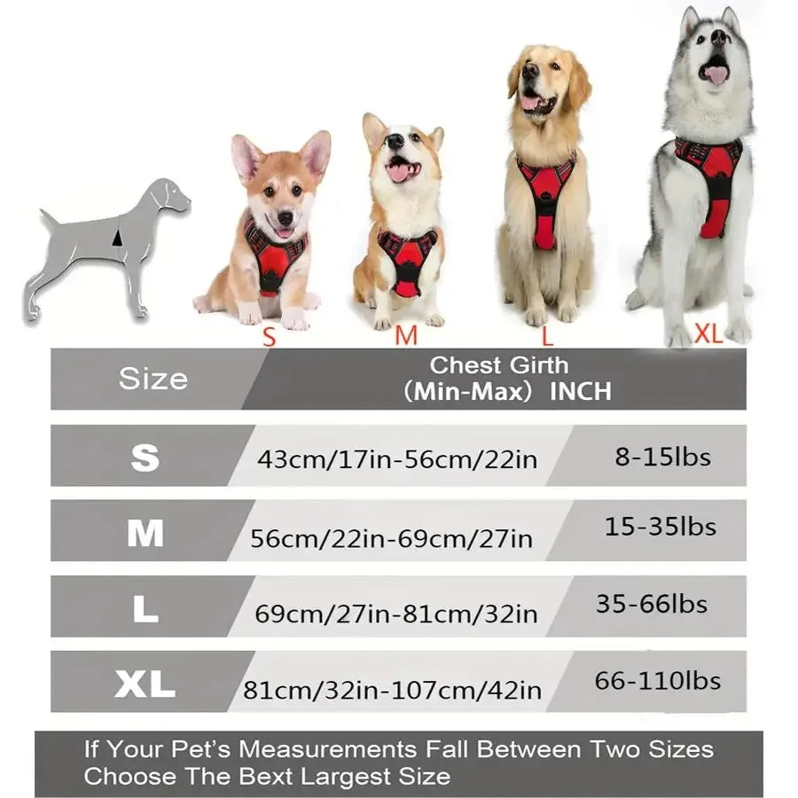 Coleira e Arnês para Cães Conjunto em Couro para Cães Pequenos Médios e Grandes