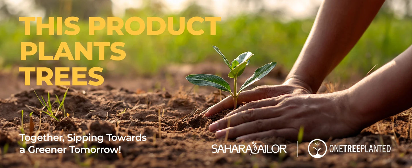 Garrafa de água Fashion com frases motivacionais perfeita para esportes e viagens