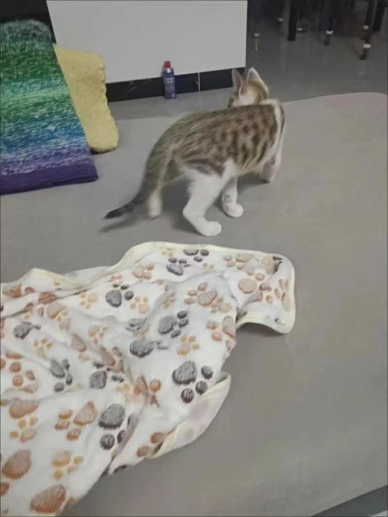 Cobertor Quente para Gatos e Cães Lã Grossa com Pegadas Aconchegante Outono Inverno